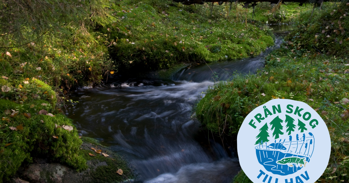 Om Kampanjen Natur Och Milj 