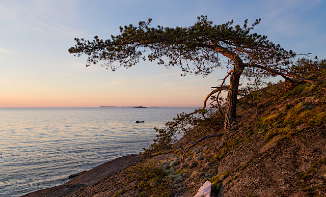 Arter I stersj n Natur Och Milj Arter I stersj n Natur Och Milj